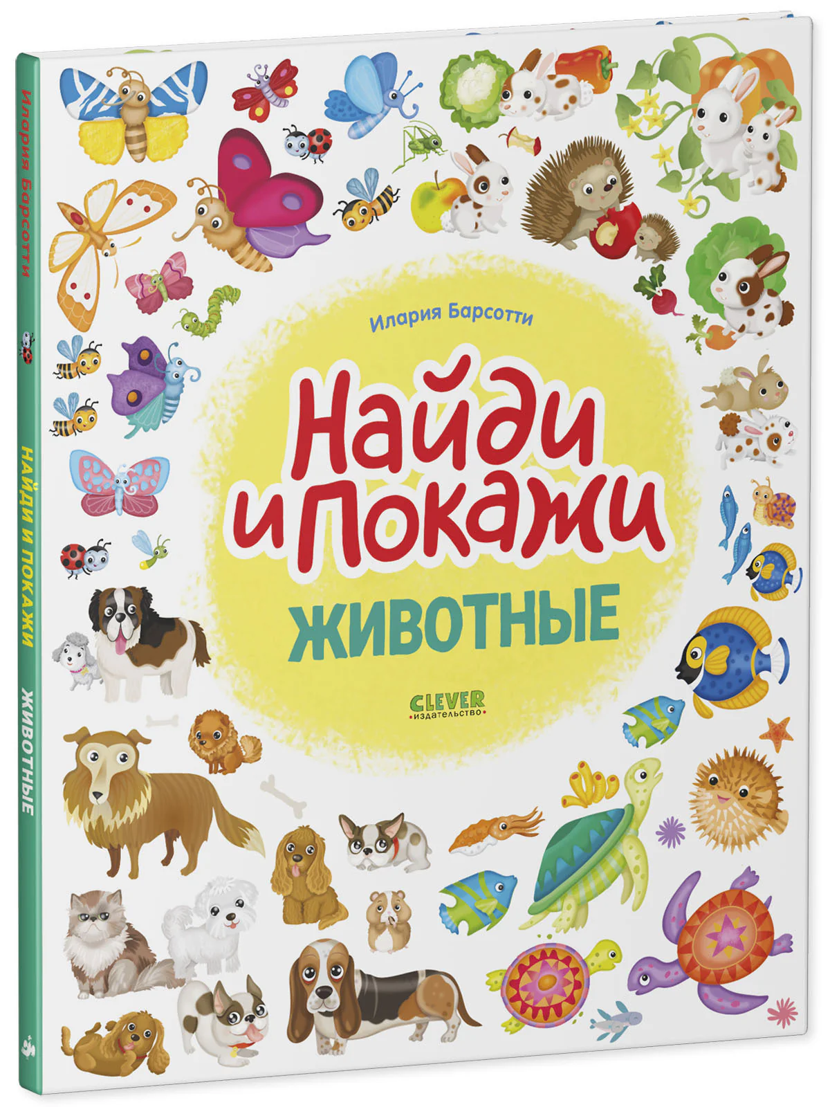 תמונת מוצר 9