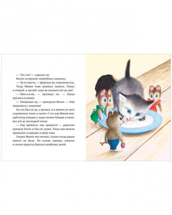 תמונת מוצר 6