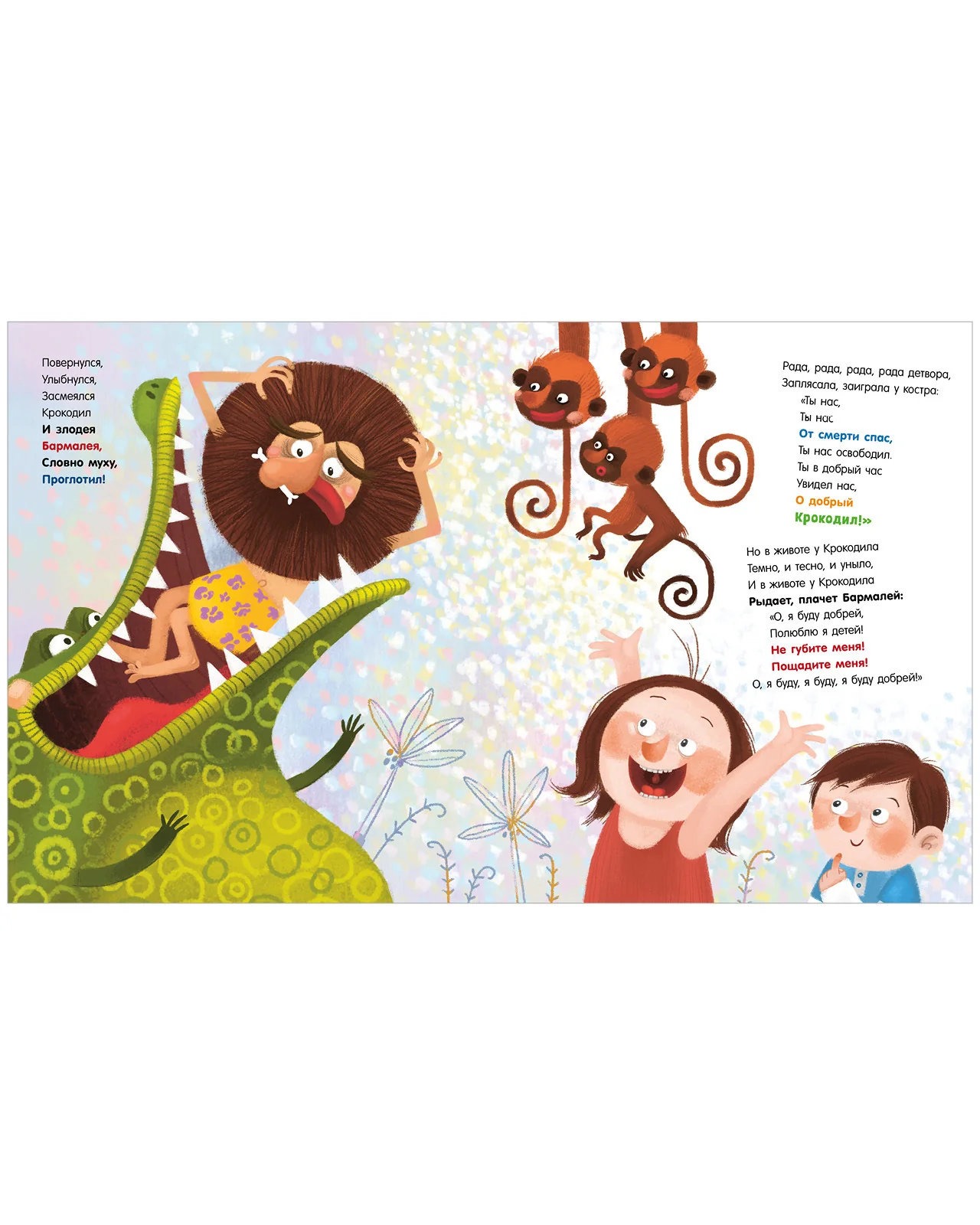 תמונת מוצר 13